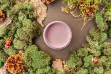 Load image into Gallery viewer, Secret Path Chalk Mineral Paint