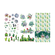 Load image into Gallery viewer, Cacti &amp; Succulents Transfer
