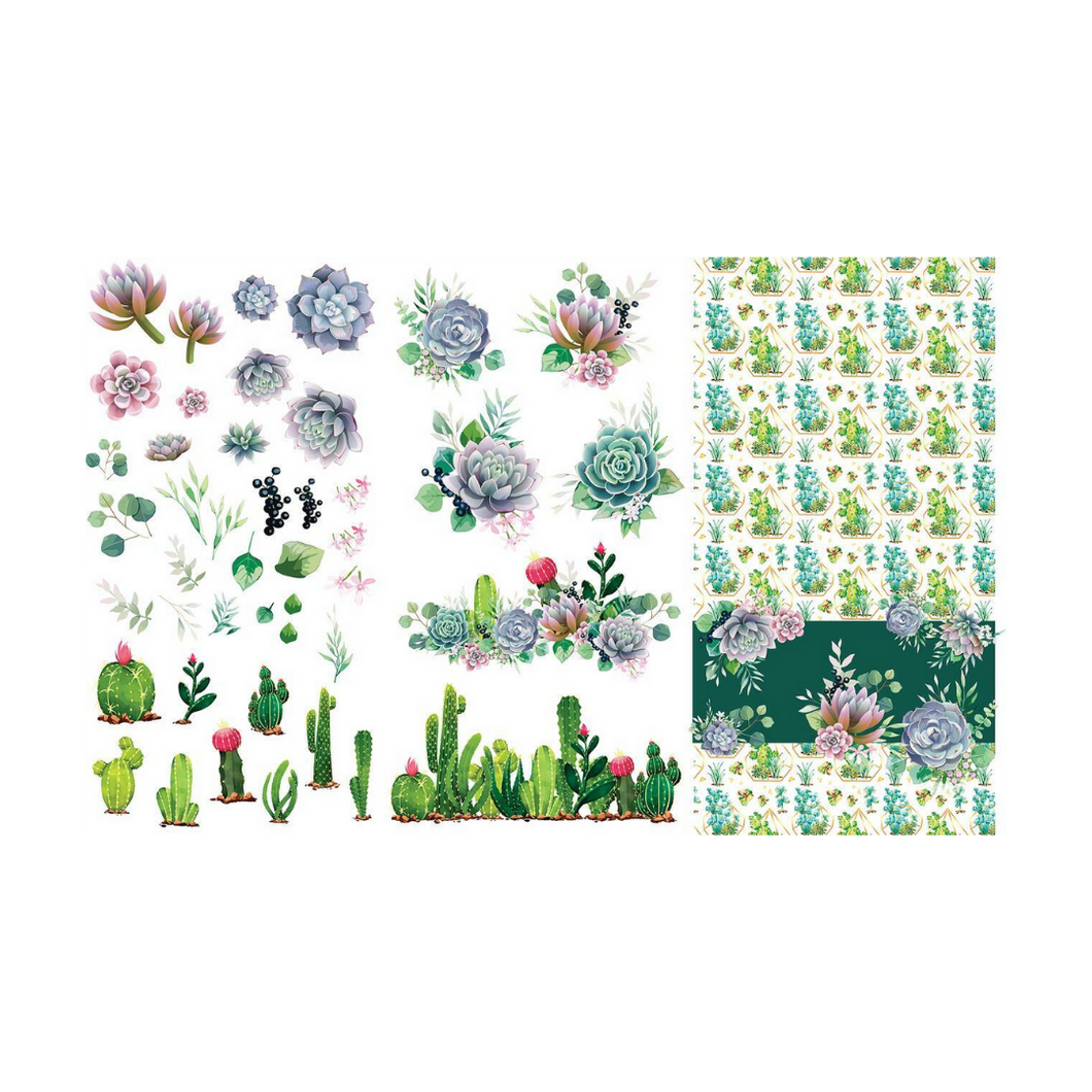 Cacti & Succulents Transfer