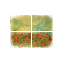 Load image into Gallery viewer, Field of Flowers Transfer
