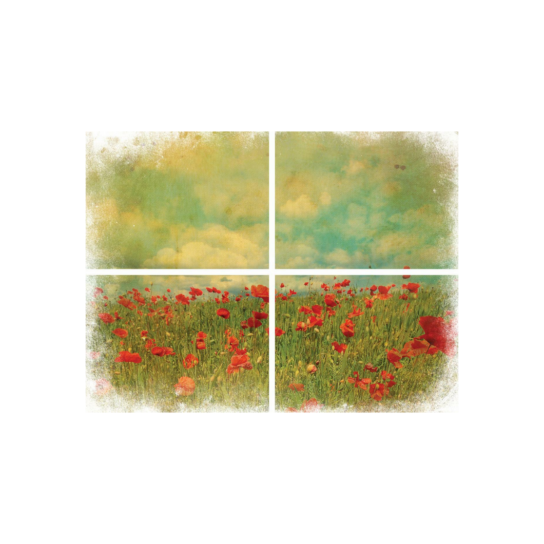 Field of Flowers Transfer