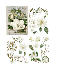 Load image into Gallery viewer, Magnolia Garden Transfers
