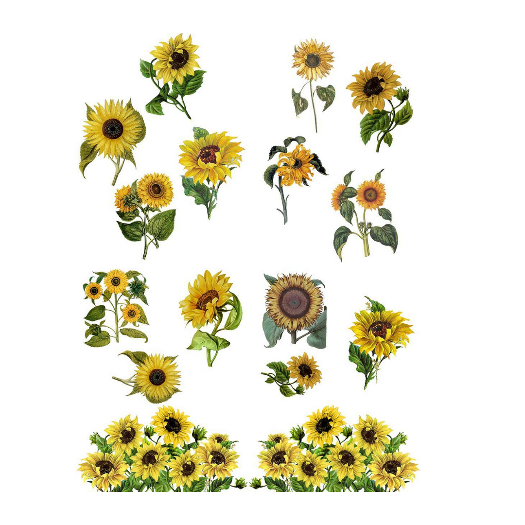 Sunflowers Transfers – Touched Up Classics by Rizabel