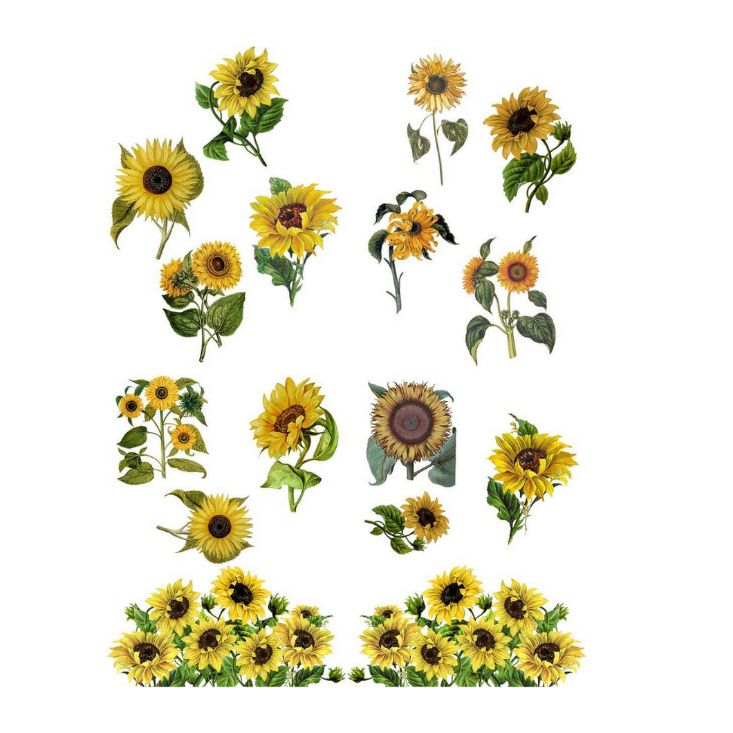 Sunflowers Transfers